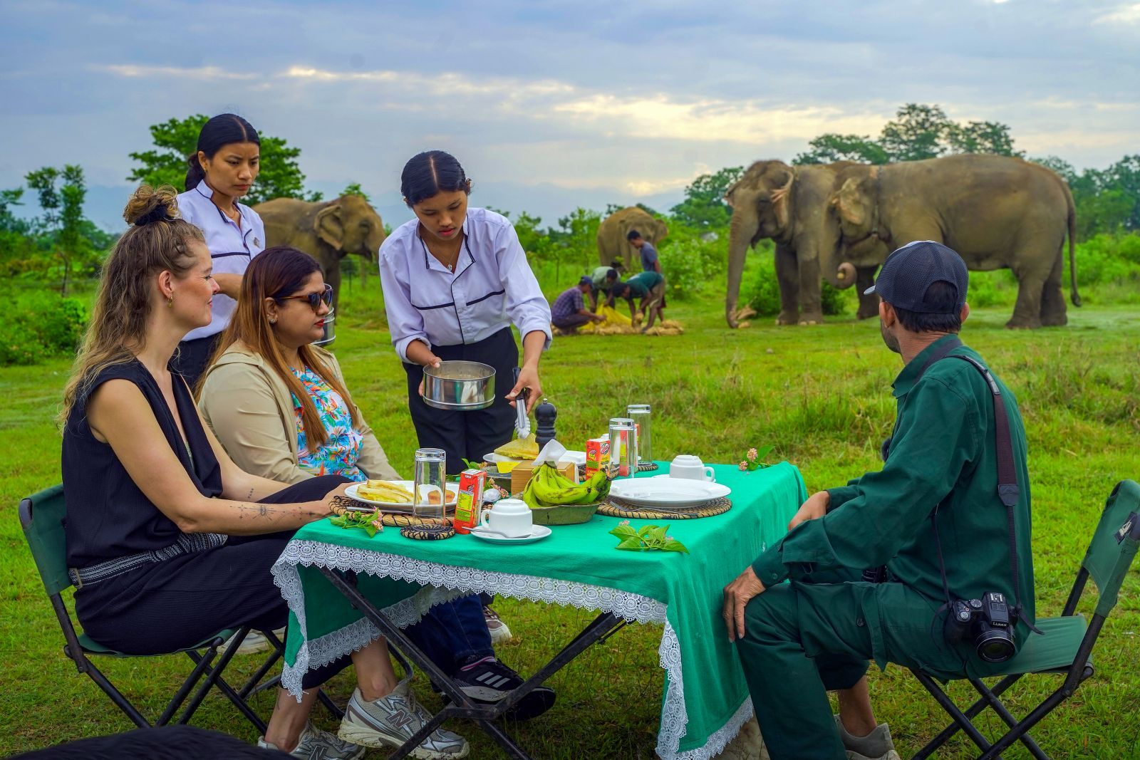 Sunrise Elephant Bush Walk with Breakfast